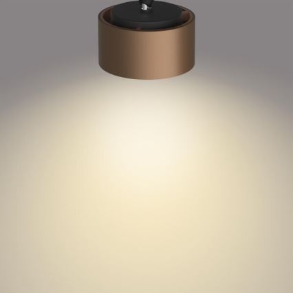 Philips 50651/05/P0 - LED spot FERANO LED/4,3W/230V