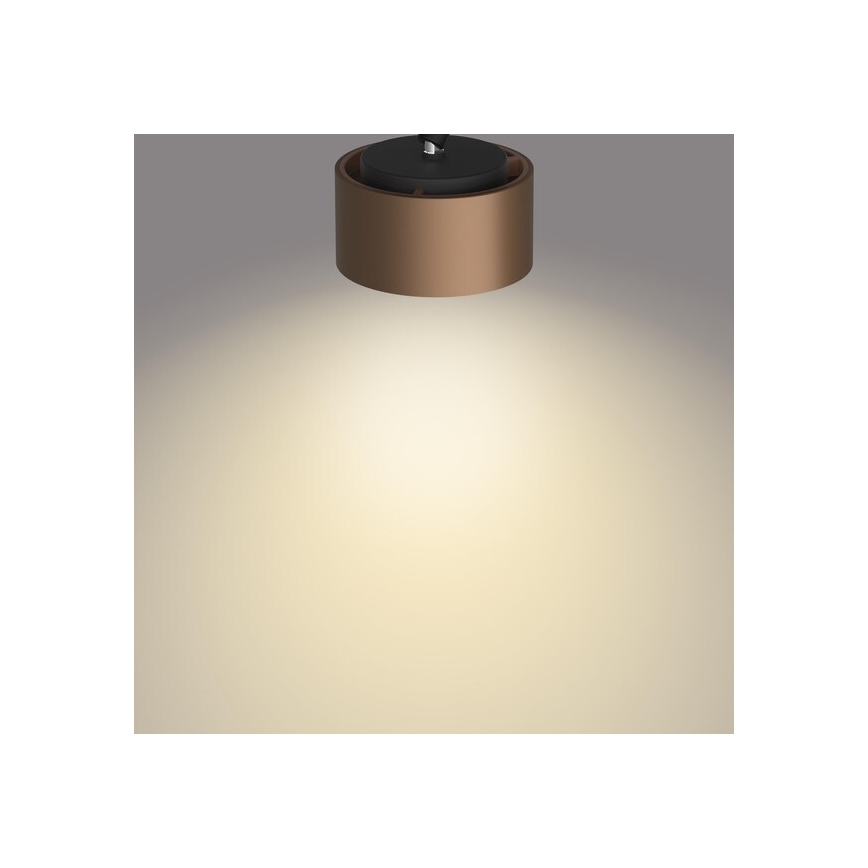 Philips 50651/05/P0 - LED spot FERANO LED/4,3W/230V