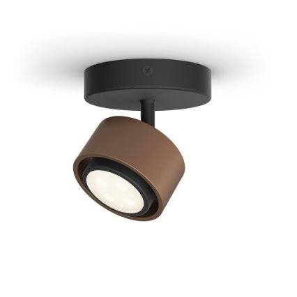 Philips 50651/05/P0 - LED spot FERANO LED/4,3W/230V