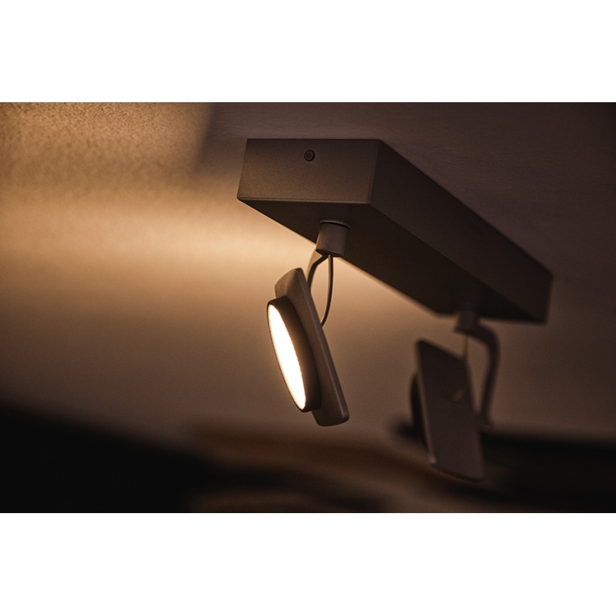 Philips 53192/48/P0 - LED Spot MILLENNIUM 2xLED/4,5W/230V