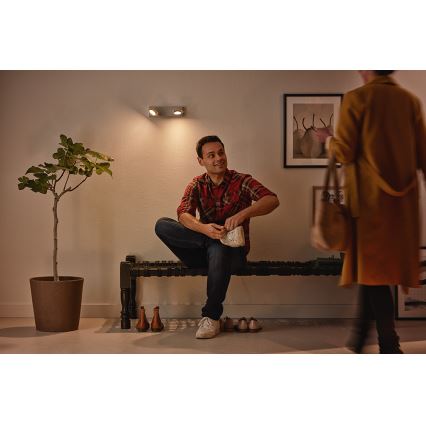 Philips 53192/48/P0 - LED Spot MILLENNIUM 2xLED/4,5W/230V