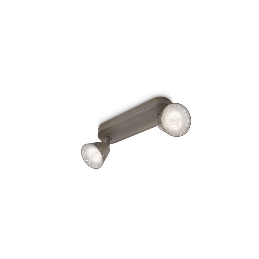Philips 53252/26/16 - LED Spot MYLIVING IDYLLIC 2xLED SMD/4W/230V