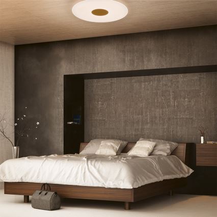 Philips - LED dimbare plafondlamp LED/30W/230V + afstandsbediening
