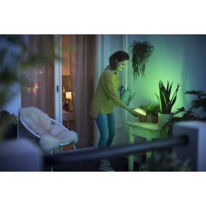 Philips 70104/31/P0 - LED draagbare lamp dimbaar CAMELLIA LED / 3W