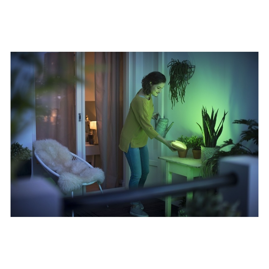Philips 70104/31/P0 - LED draagbare lamp dimbaar CAMELLIA LED / 3W