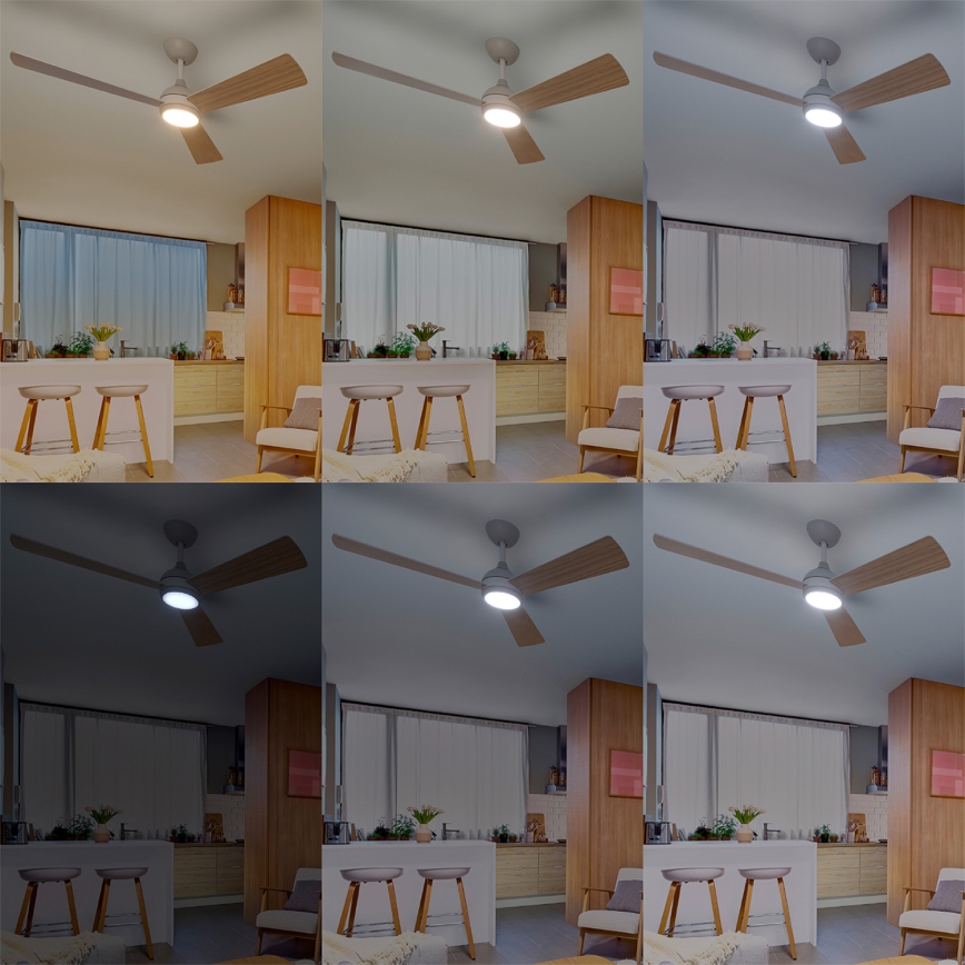 Philips - Dimbare LED-plafondventilator CIVX LED/24W/230V + afstandsbediening
