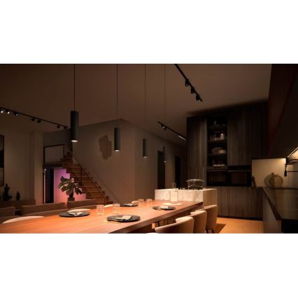 Philips - PERIFO LED RGB dimbare hanglamp met kabel, geschikt voor Hue-railsysteem LED RGB/5,2W/24V 2000-6500K