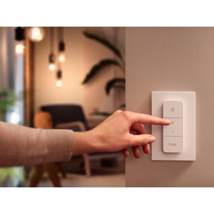 Philips Hue dimmer-schakelaar V2 1xCR2032