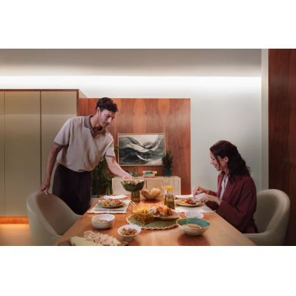 Philips - Hue FLUX LED RGBW dimbare strip 10m LED/60W/230V 2200-6500K