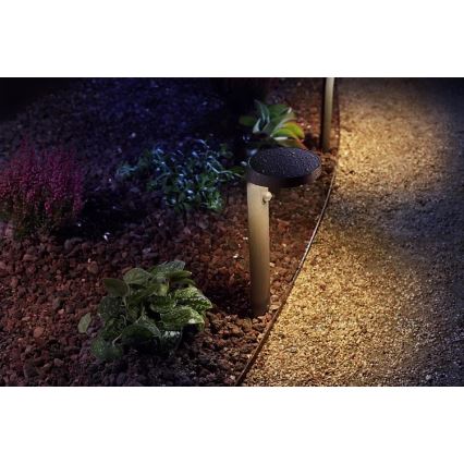 Philips - LED Buitenlamp met sensor LED/9W/230V 2700K IP44