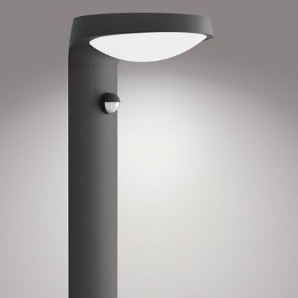 Philips - LED Buitenlamp met sensor LED/9W/230V 4000K IP44