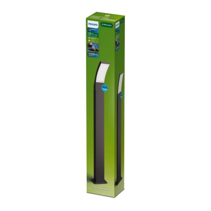 Philips - LED buitenlamp SPLAY LED/4,3W/230V 2700K 96 cm IP44