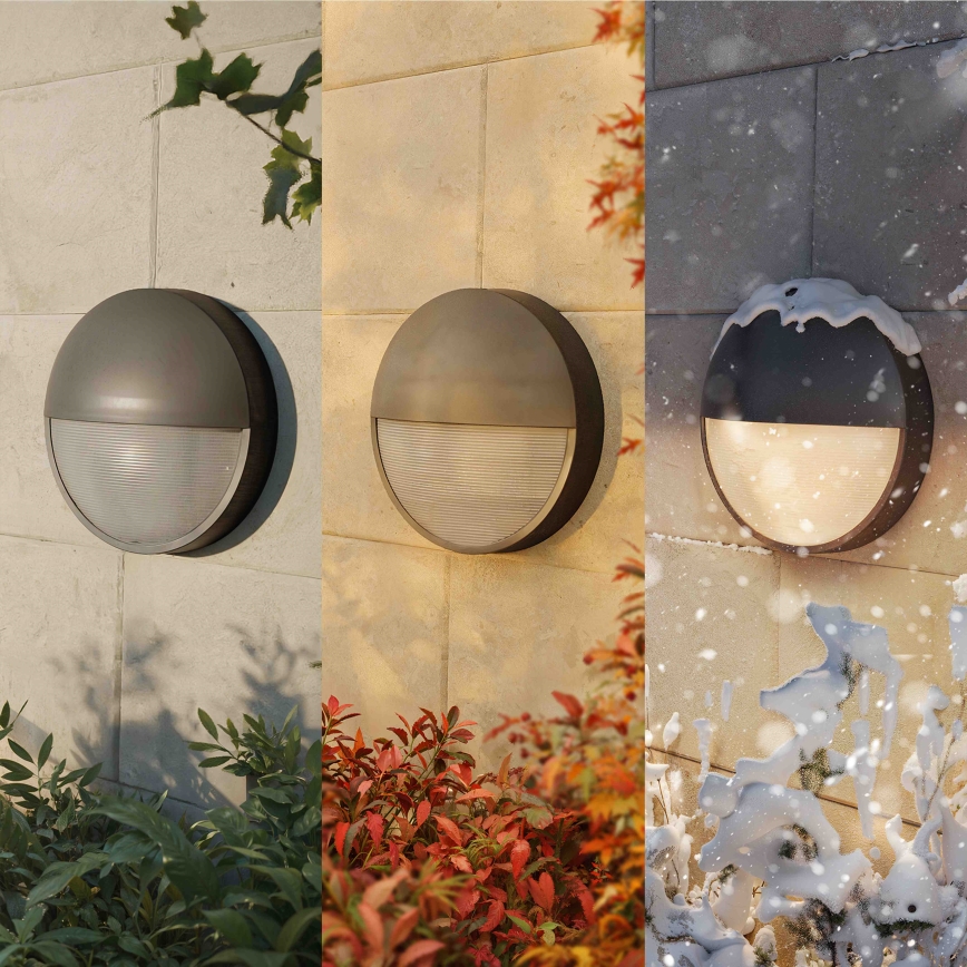 Philips - LED buitenmuurlamp CAPRICORN LED/4,3W/230V IP44