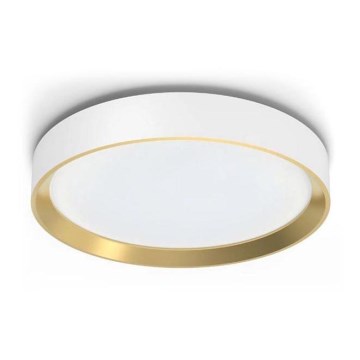 Philips - LED Dimbare Plafondlamp HANNO LED/24W/230V 2700K wit