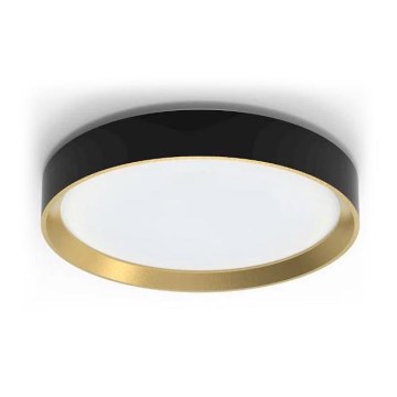 Philips - LED dimbare plafondlamp HANNO LED/24W/230V 2700K zwart