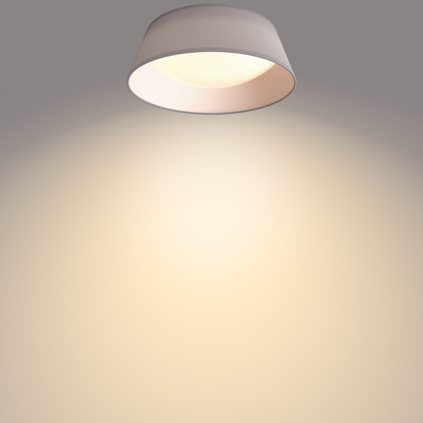 Philips - LED Plafond Lamp LED/14W/230V grijs