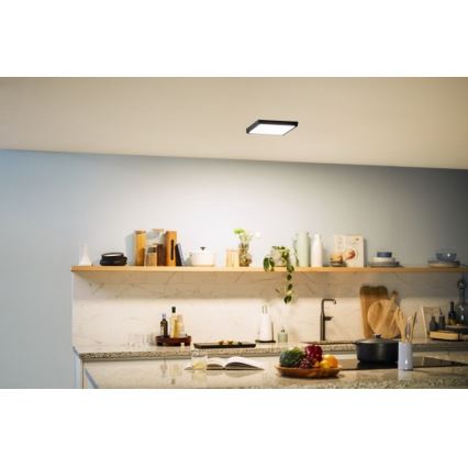 Philips - LED Plafond Lamp LED/12W/230V 2700K zwart