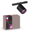Philips - LED RGB Dimbare spot voor een rail systeem Hue PERIFO LED/5,2W/24V 2000-6500K