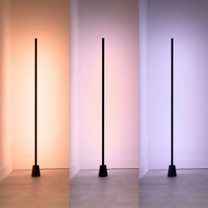 Philips - Dimbare LED RGBIC vloerlamp GRADIENT LED/9,7W/230V 2200-6500K Wi-Fi