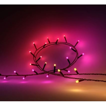 Philips - LED RGBW Dimbaar buitenshuis ketting HUE WHITE AND COLOR AMBIANCE 250xLED 24,4 m 2000-6500K IP54