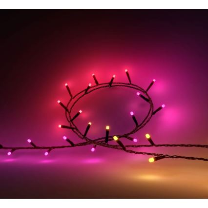 Philips - LED RGBW dimbaar lichtsnoer voor buiten HUE WHITE AND COLOR AMBIANCE 500 LEDs 44,4 m 2000-6500K IP54