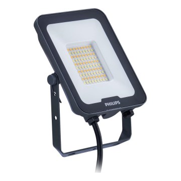 Philips - LED Schijnwerper LEDINAIRE ALL-IN LED/50W/230V 3000/4000/6500K IP65 antraciet