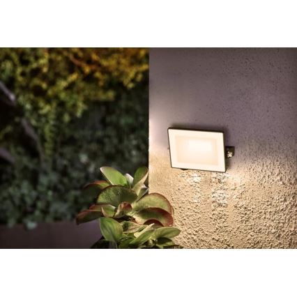 Philips - LED Schijnwerper LOIS LED/10W/230V IP65 3000K