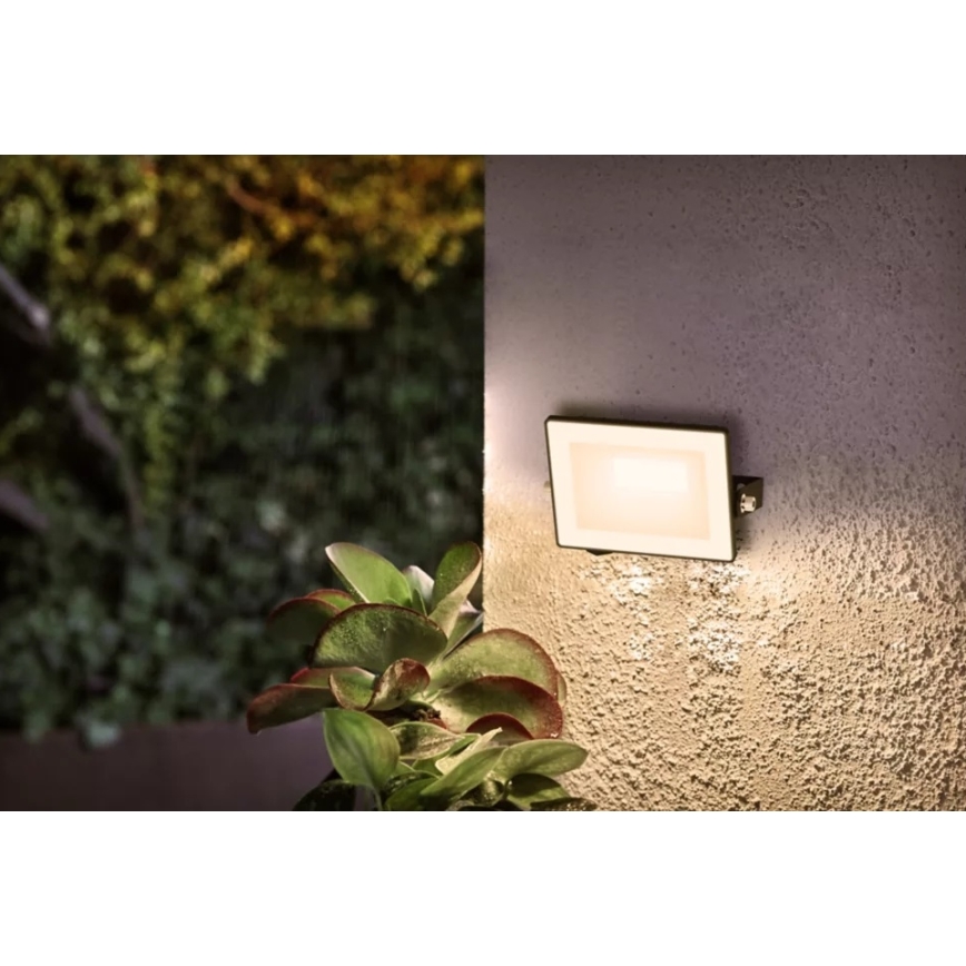 Philips - LED Schijnwerper LOIS LED/10W/230V IP65 3000K