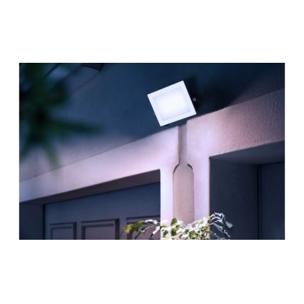 Philips - LED Schijnwerper LOIS LED/30W/230V IP65 5000K