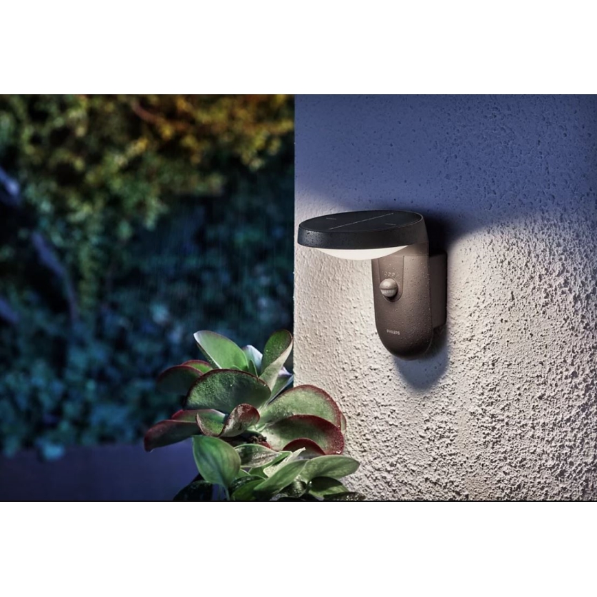 Philips - LED Solar wandlamp met sensor LED/1,2W/4V 1800 mAh 4000K IP44