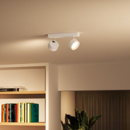 Philips - LED spot 2xLED/5,5W/230V wit