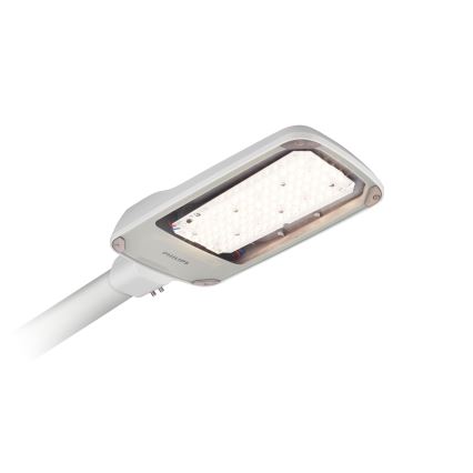 Philips - LED Straatlantaarn CORELINE MALAGA LED/47W/230V 4000K IP65