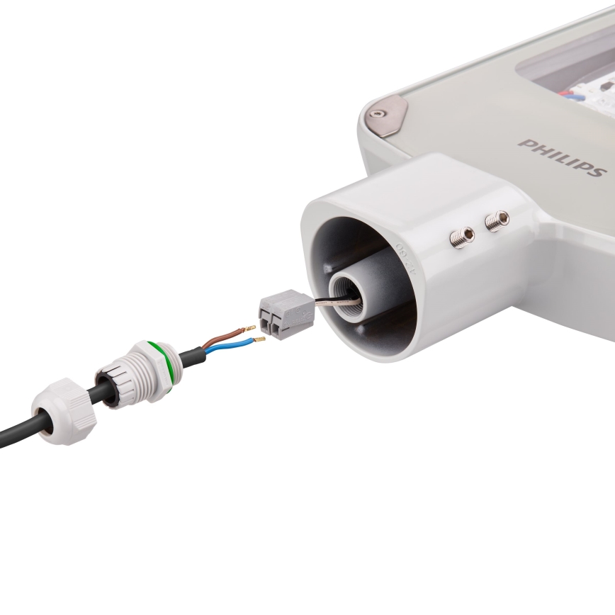 Philips - LED Straatlantaarn CORELINE MALAGA LED/47W/230V 4000K IP65