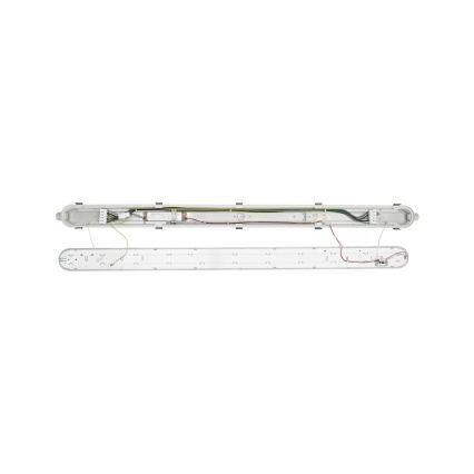Philips - LED technisch TL-armatuur CORELINE LED/37,5W/230V 150 cm IP66