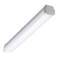 Philips - LED-technisch TL-armatuur LEDINAIRE LED/15W/230V 60 cm IP66