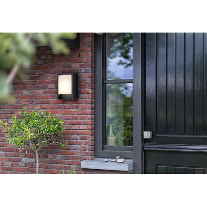 Philips - LED Wandlamp voor buiten ARBOUR LED/3,8W/230V 2700K IP44