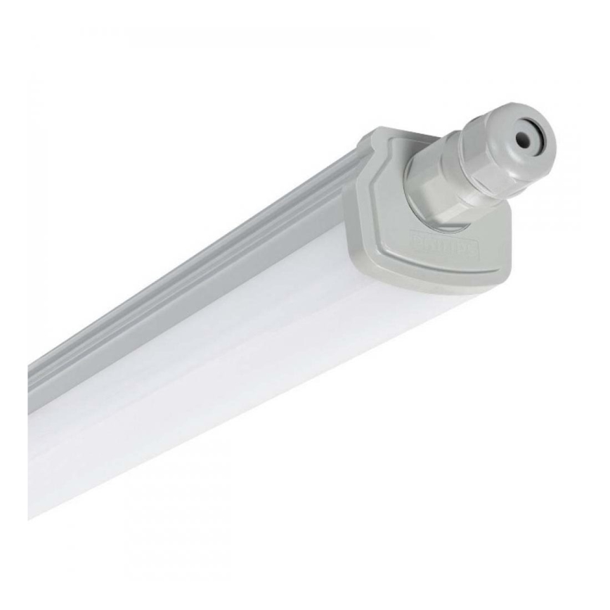 Philips - LED Werkbuislamp 30W/230V IP66