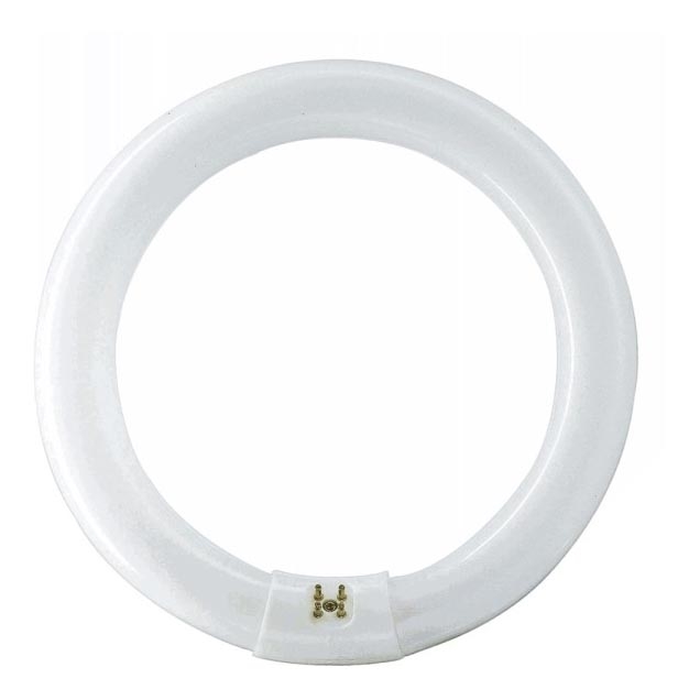 Philips MASTER G10q/32W/230V 4000K fluorescentielamp, Ø 30,35 cm