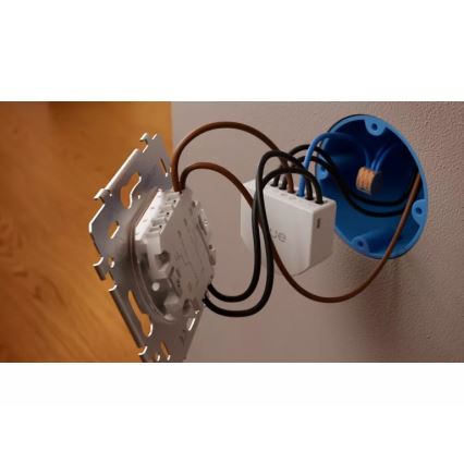 Philips - Module voor 2-knops Hue-wandschakelaar