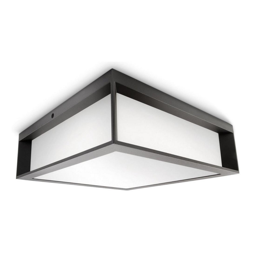 Philips - Plafond Lamp voor Buiten SKIES 2xE27/14W/230V IP44 antraciet