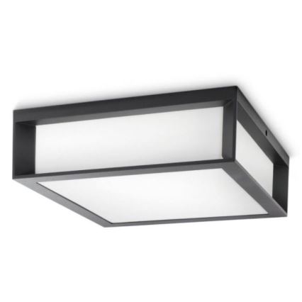 Philips - Plafond Lamp voor Buiten SKIES 2xE27/14W/230V IP44 antraciet