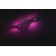 Philips  - SET 4xLED RGB Dimbare spot voor een rail systeem Hue PERIFO LED/20,8W/230V 2000-6500K