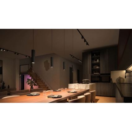 Philips - SET van 3 dimbare LED RGBW-pendellampen aan een kabel voor het Hue-railsysteem PERIFO LED/15,6W/230V 2000-6500K