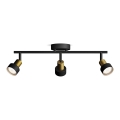 Philips - Spot CONDUIT 3xGU10/5W/230V zwart/messing