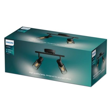 Philips - Spot PALMS 2xE14/25W/230V