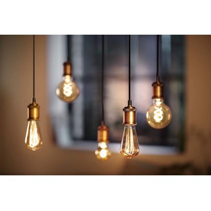 Dimbare LED-lamp VINTAGE Philips G93 E27/4W/230V 1800K