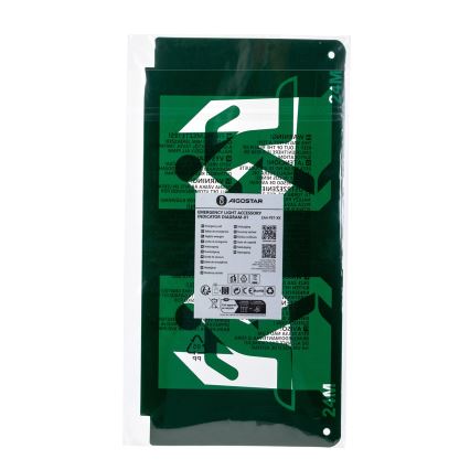 Pictogram voor noodverlichting 16,2x32,7 cm