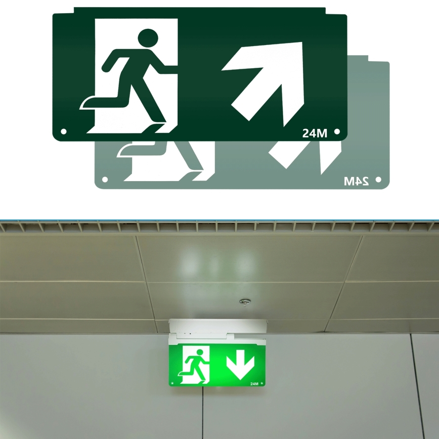 Pictogram voor noodverlichting 16,2x32,7 cm