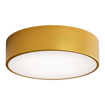 Plafond Lamp CLEO 2xE27/24W/230V d. 30 cm goud