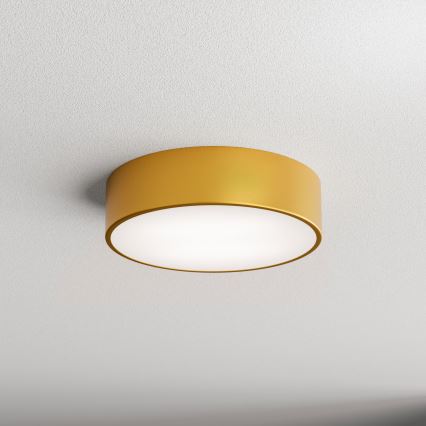 Plafond Lamp CLEO 2xE27/24W/230V d. 30 cm goud